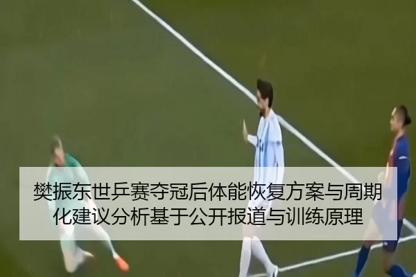 fan-zhen-dong-shi-ping-sai-duo-guan-hou-ti-neng-hui-fu-fang-an-yu-zhou-qi-hua-jian-yi-fen-xi-ji-yu-gong-kai-bao-dao-yu-2-784.jpg