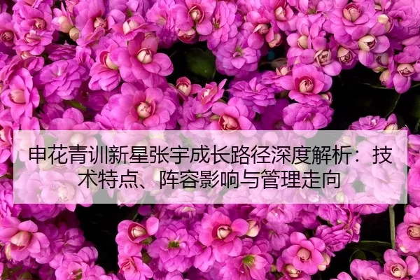 shen-hua-qing-xun-xin-xing-zhang-yu-cheng-zhang-lu-jing-shen-du-jie-xi-ji-shu-te-dian-zhen-rong-ying-xiang-yu-guan-li-2-871.jpg
